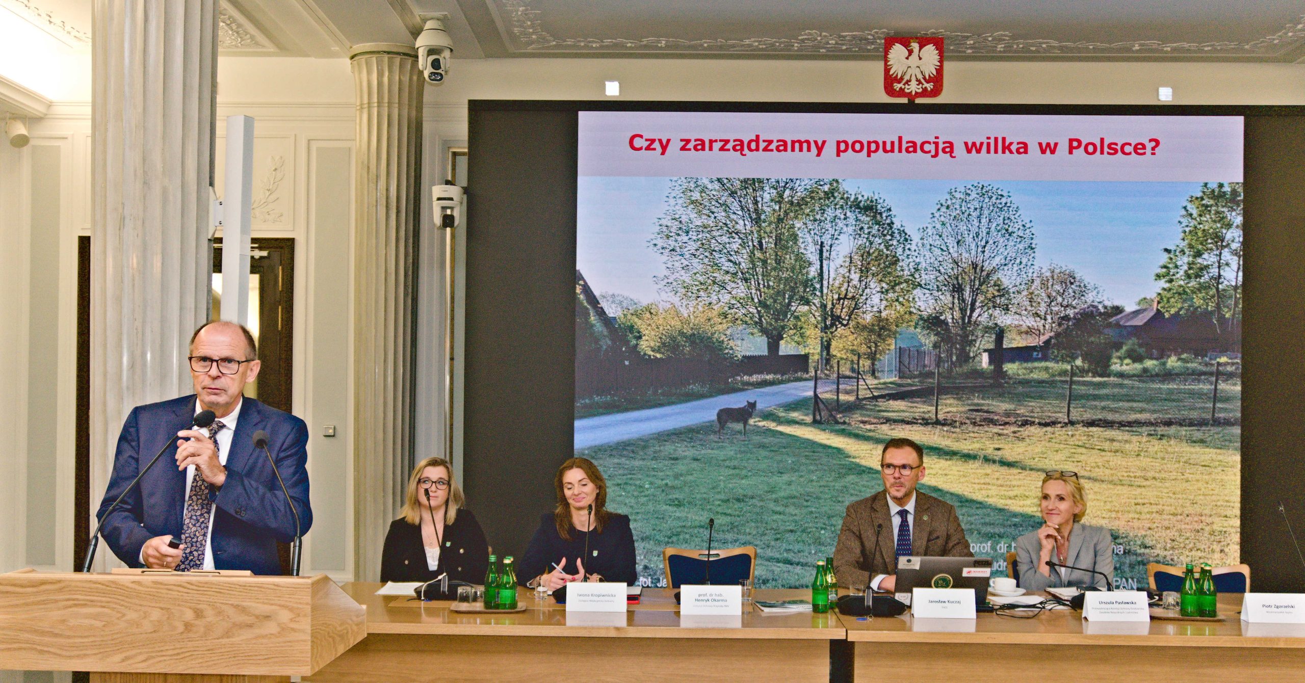 Wystąpienie prof. Henryka Okarmy na konferencji poświęconej strategii zarządzania wilkami zorganizowanej we wrześniu 2026 r. w sejmie