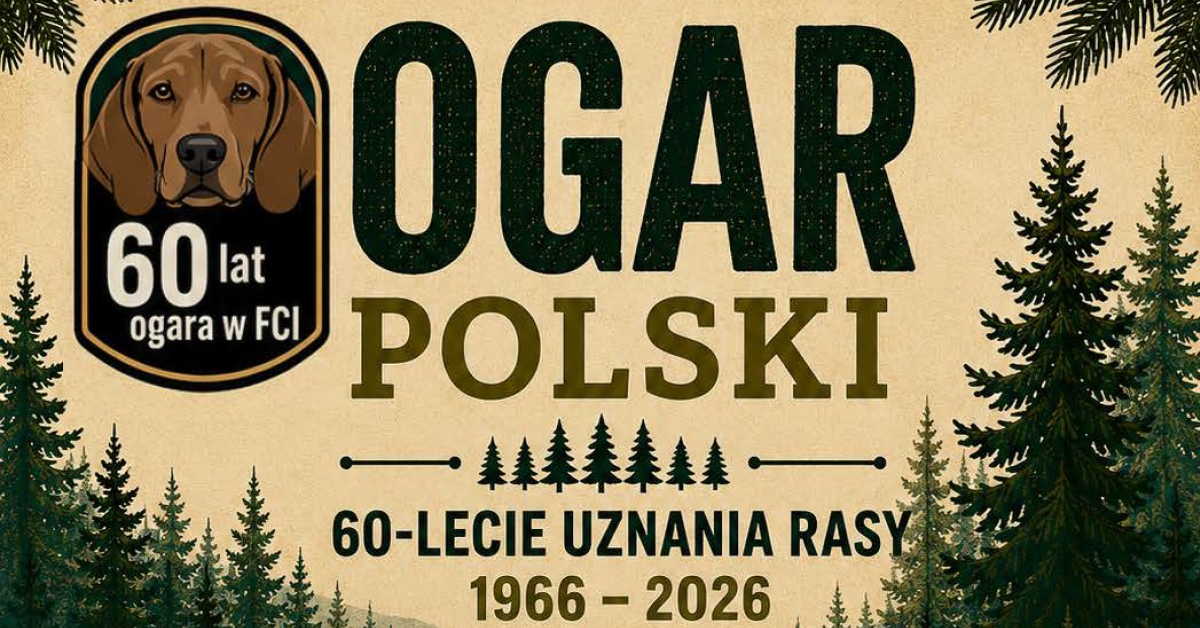 Grafika z głową ogara polskiego na 60-lecie uznania rasy przez FCI