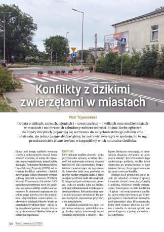 Konflikty z dzikimi zwierzętami w miastach