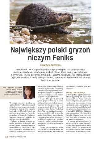 Największy polski gryzoń niczym Feniks