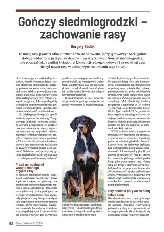 Gończy siedmiogrodzki – zachowanie rasy