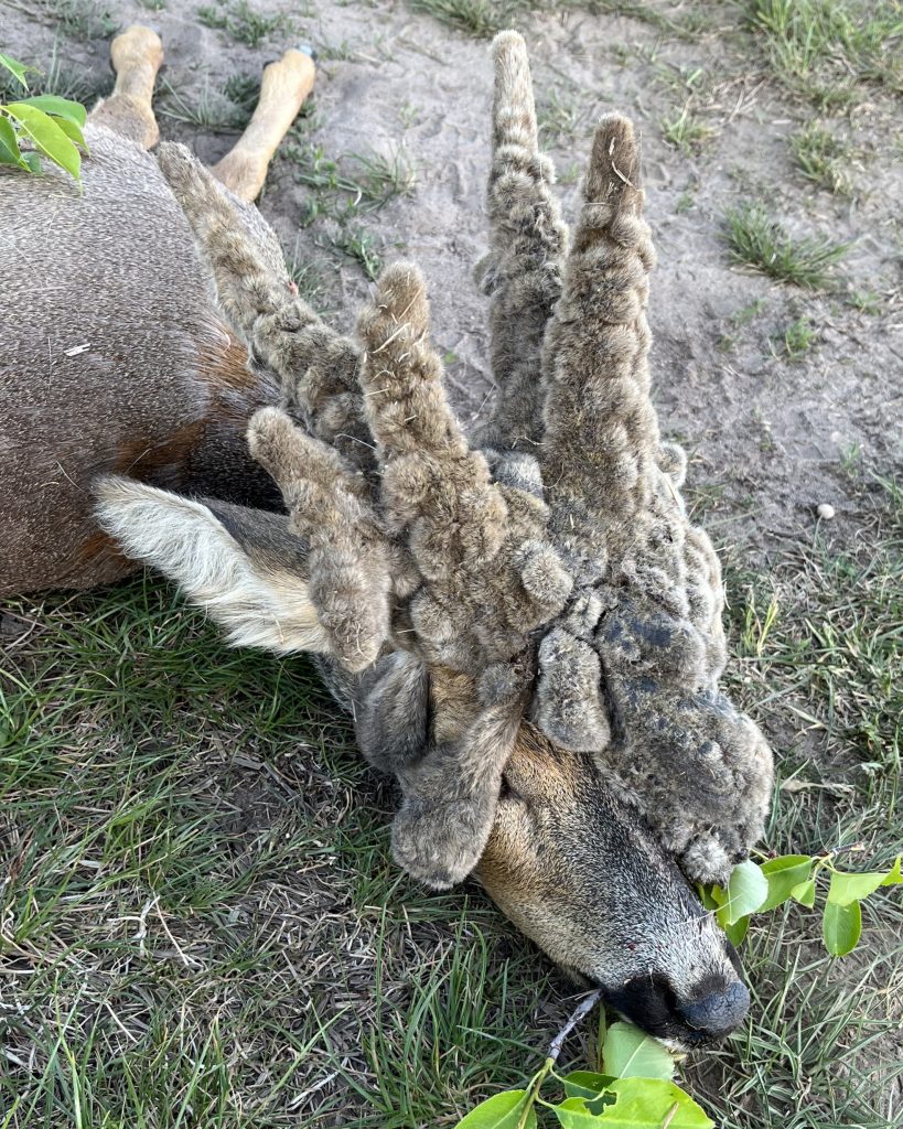 Warszawskie Koło Łowieckie „Burzany”